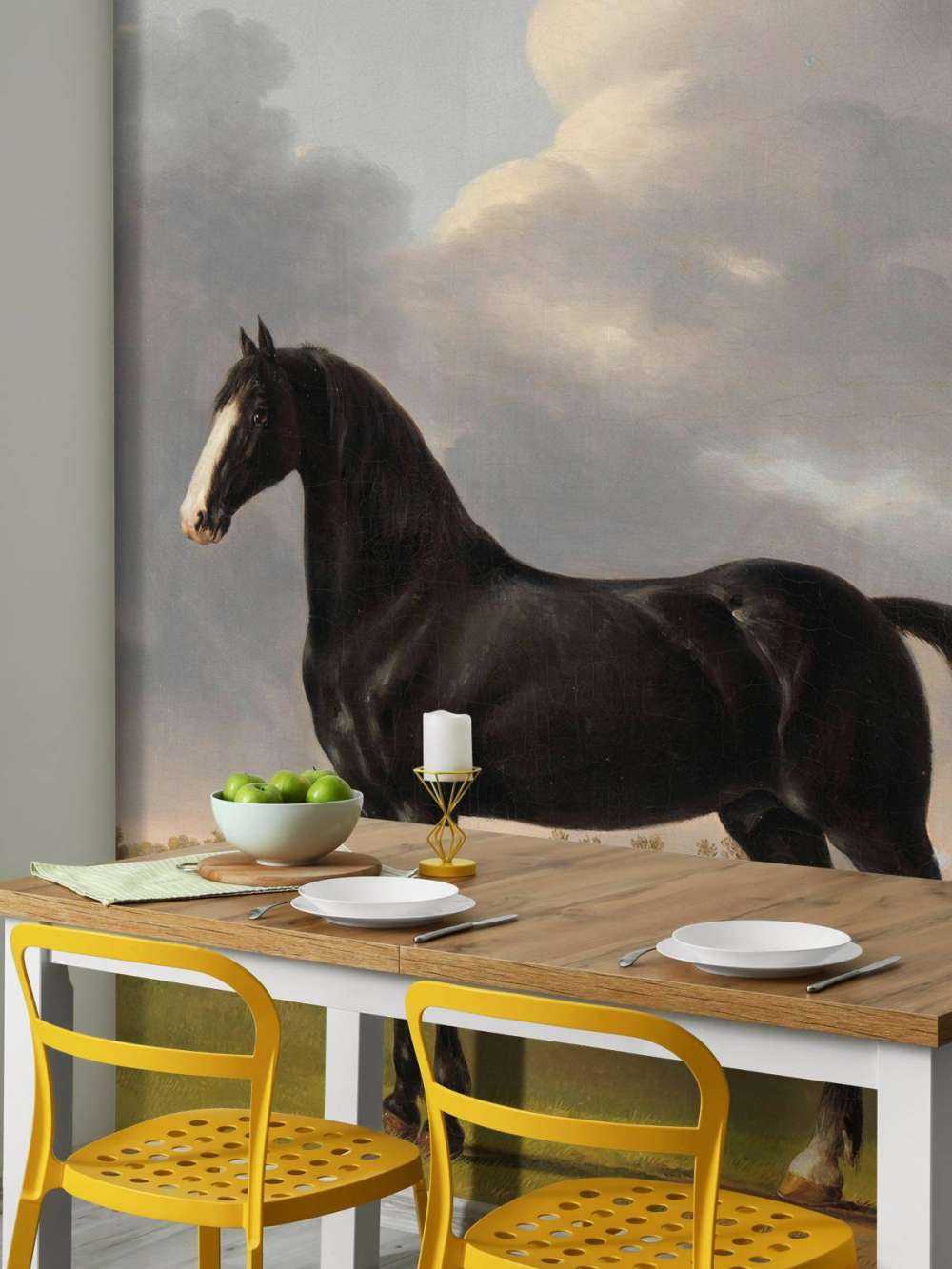 Photo fond d'écran cheval. Le bêcheur De Vlugge