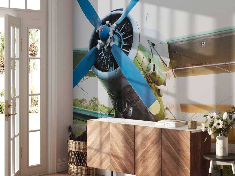 Petit avion privé monomoteur