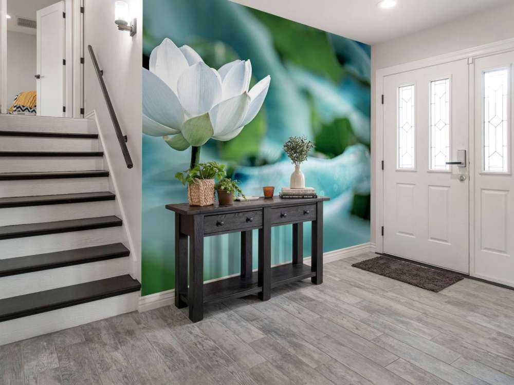 Fleur de lotus blanc
