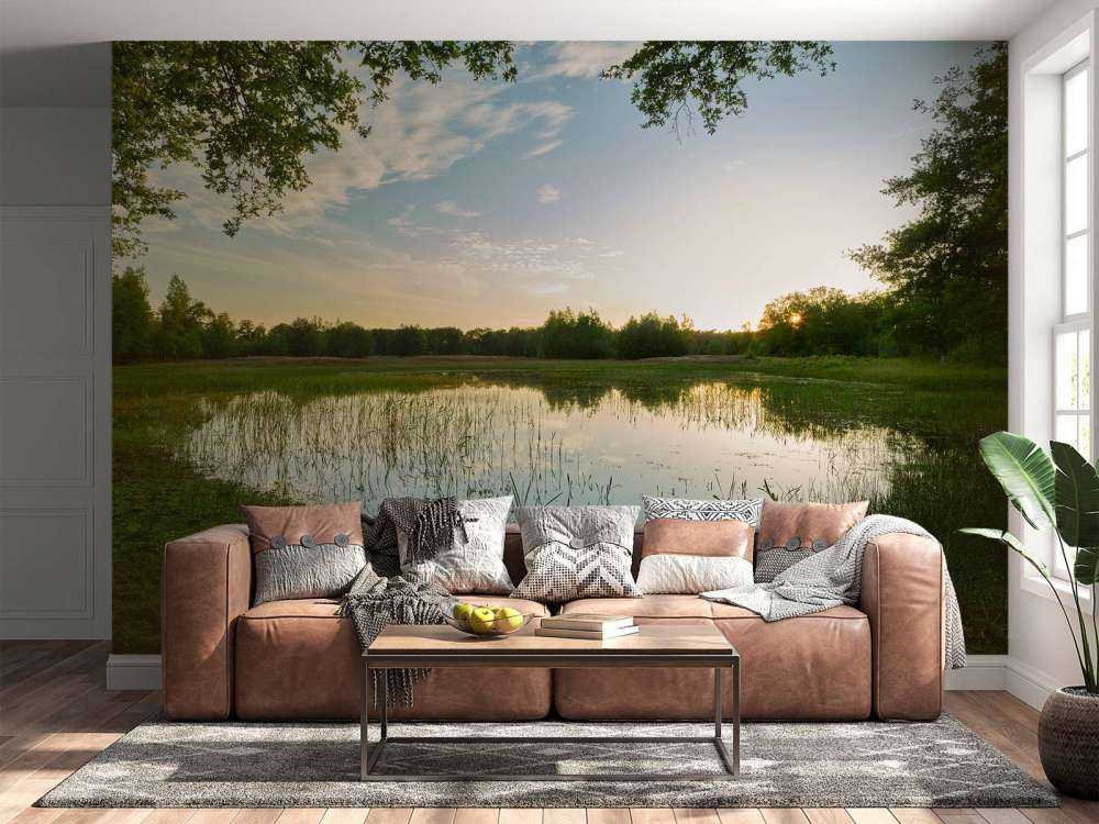 Coucher de soleil à forêt