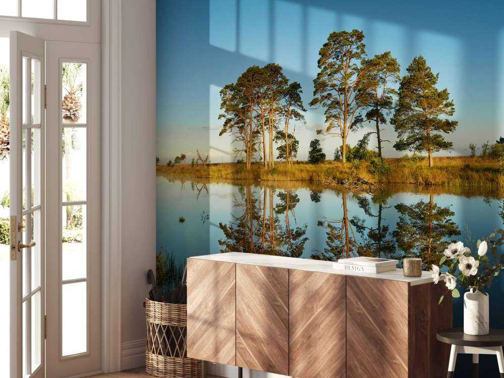 Réflexion dans un lac de forêt