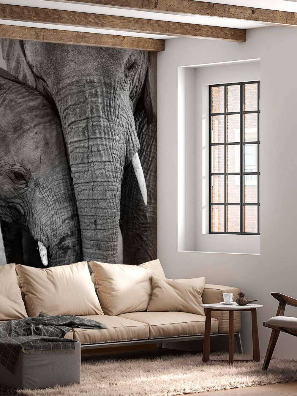 Câliner les éléphants