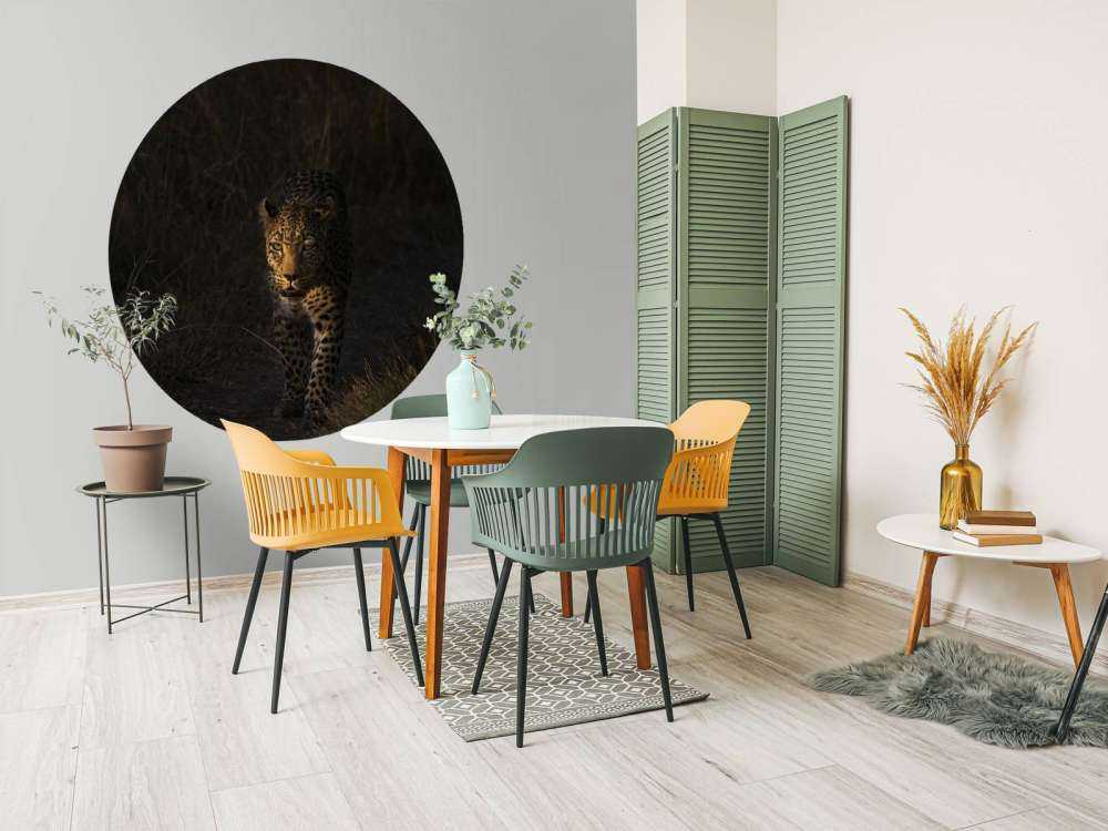 Léopard au coucher de soleil