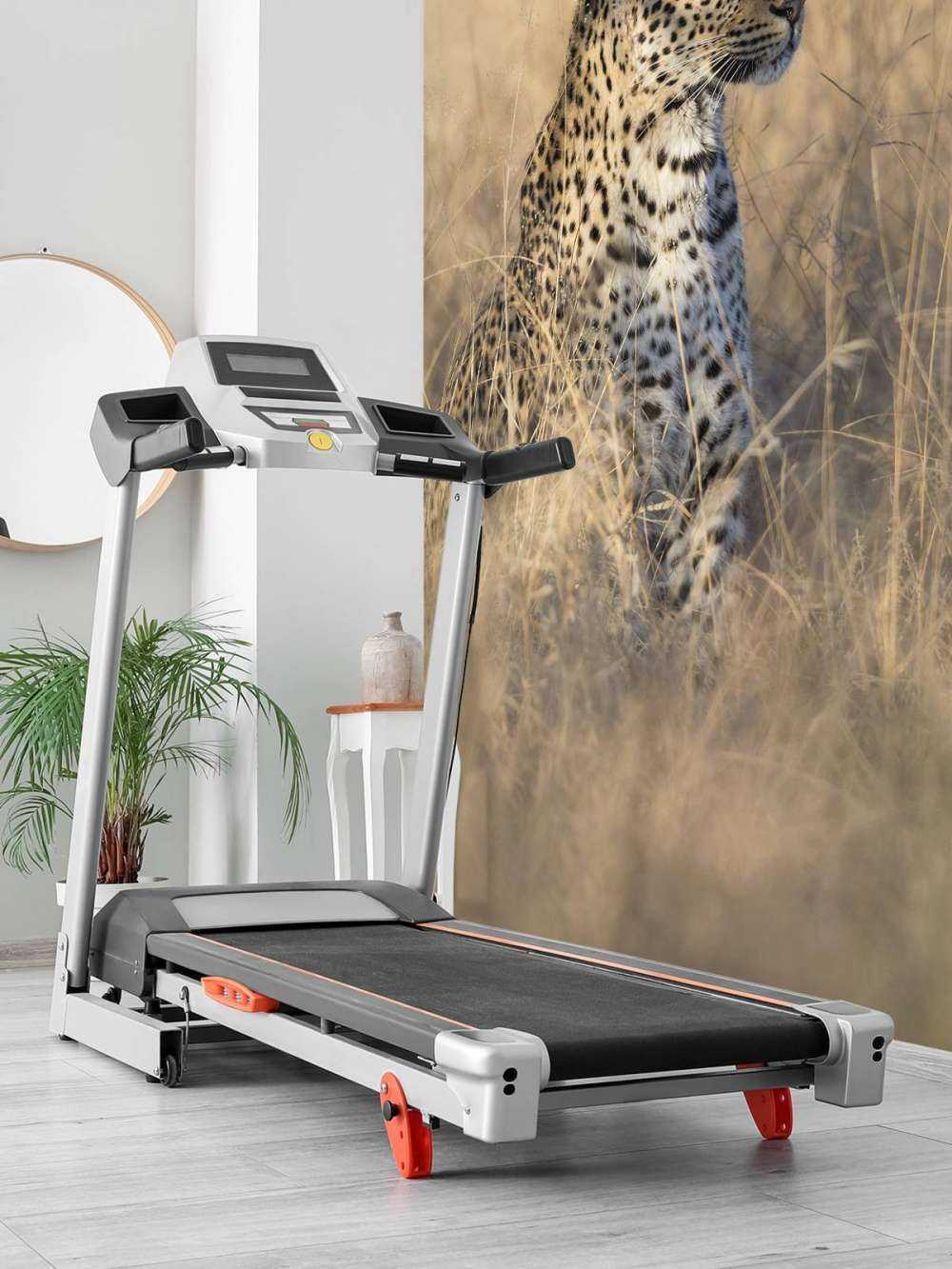 La chasse au léopard