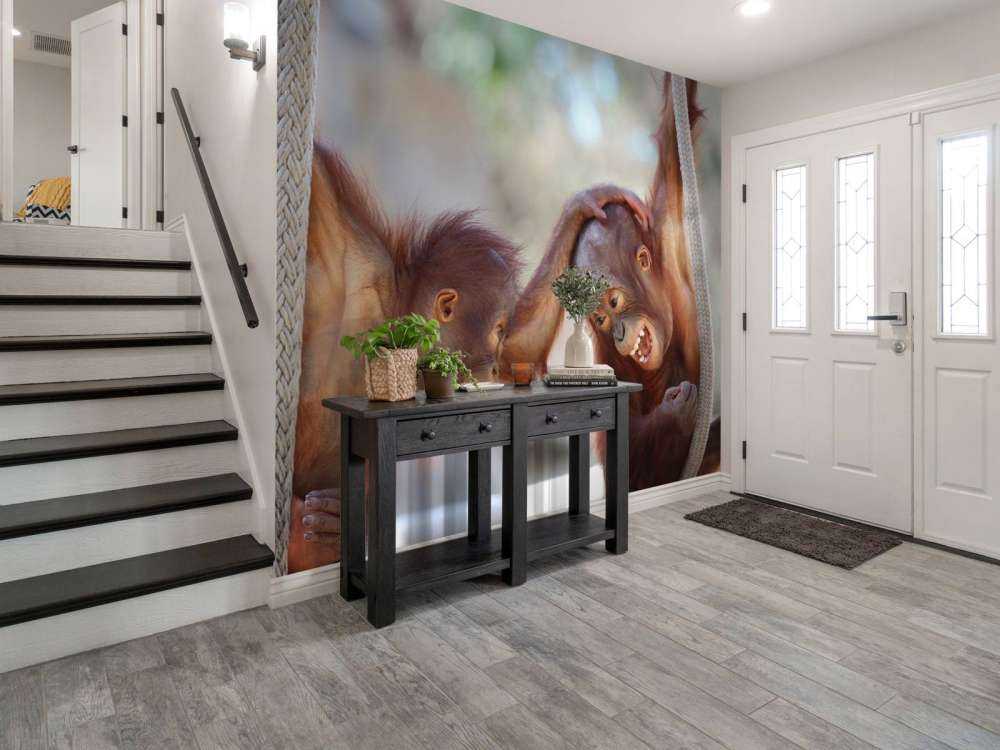 Bébés orang-outans