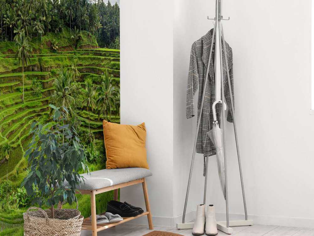 Les rizières thaïlandaises