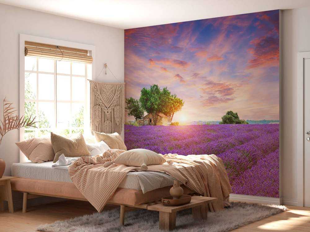 Champ de lavande au lever du soleil