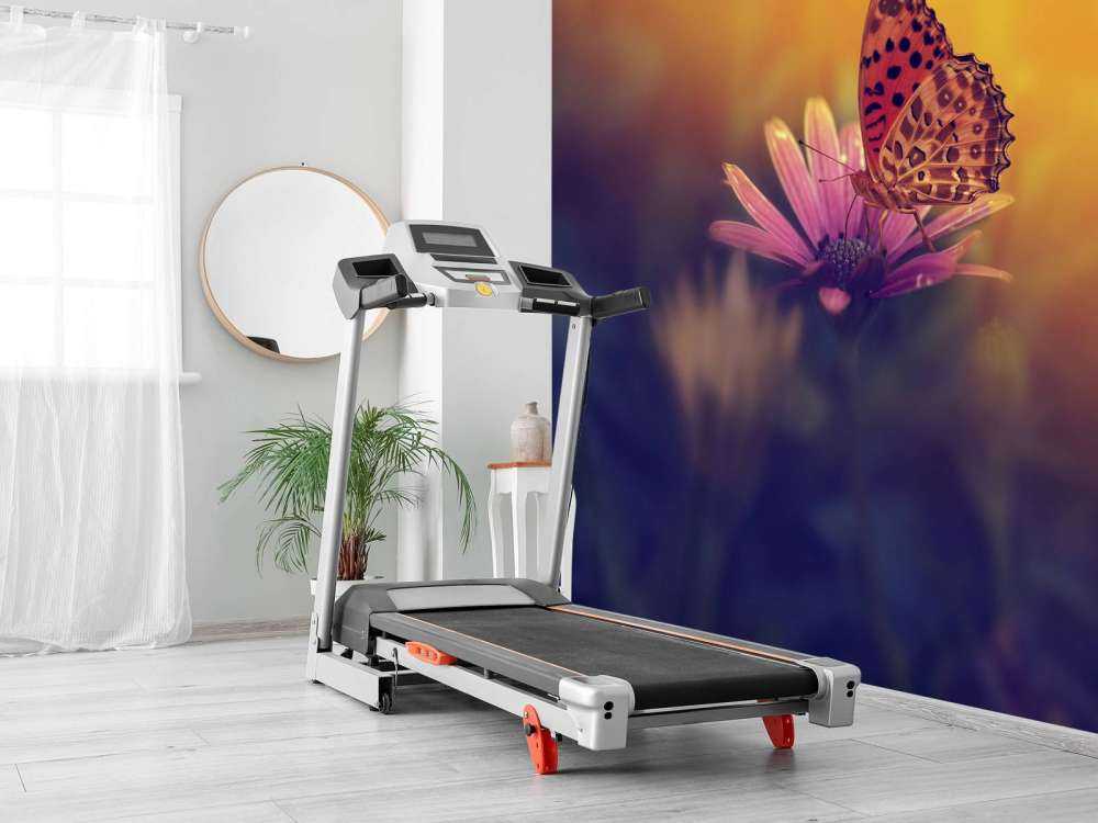 Papillon rouge sur une fleur