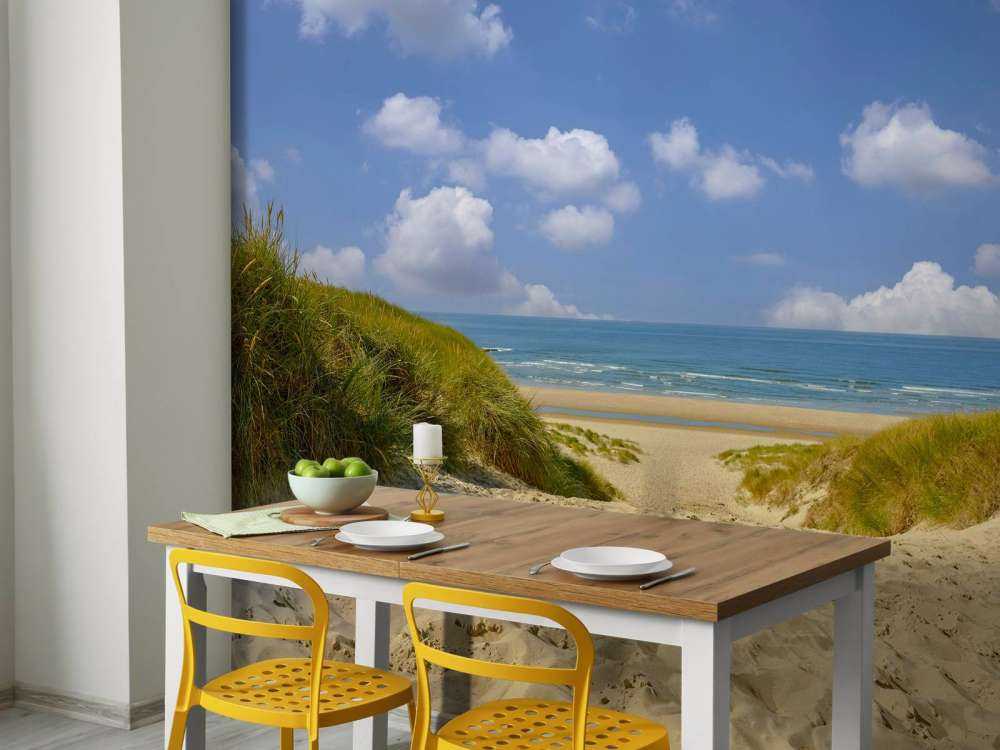 Promenade à travers les dunes