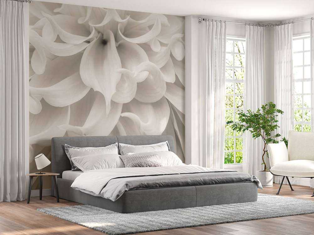 Gros plan sur une fleur de dahlia