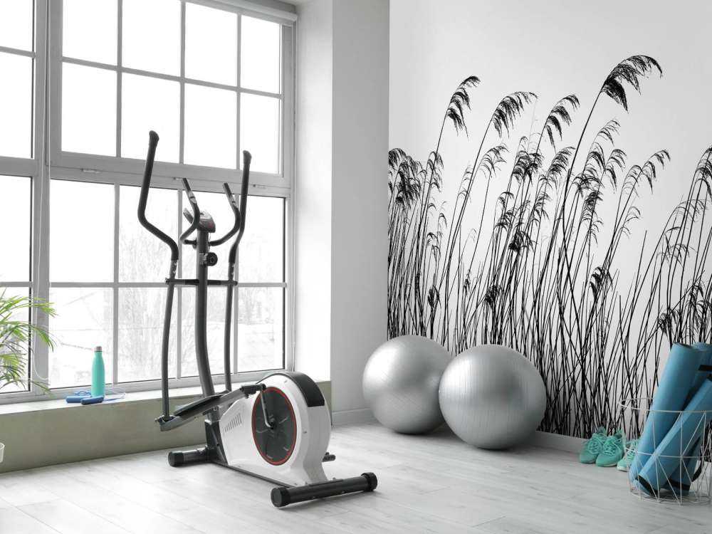 Roseau au bord de l'eau en noir et blanc