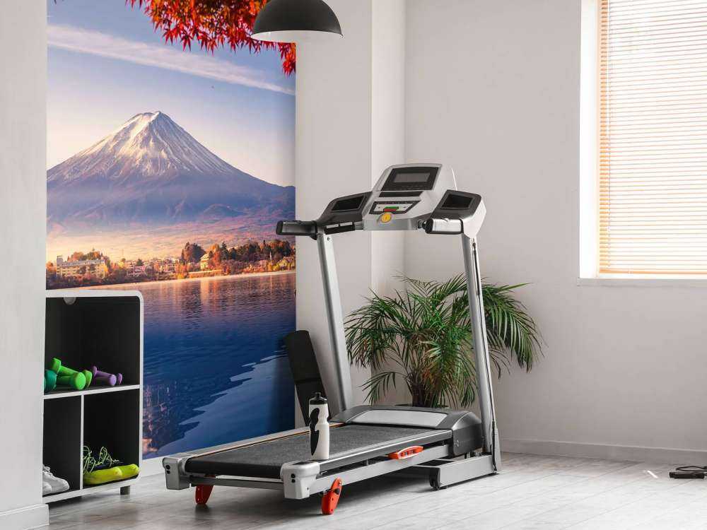 Le Mont Fuji en automne