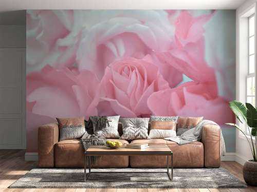 Fleurs de roses