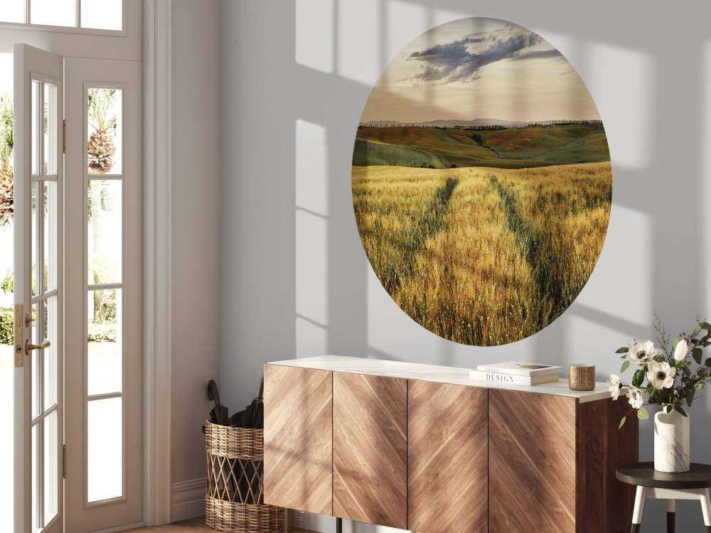 Champ de céréales avec traces