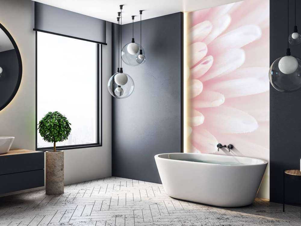 Chrysanthemum petals