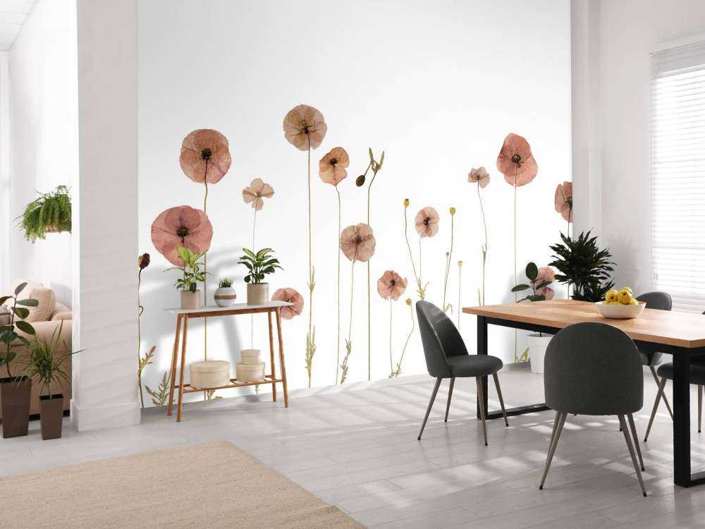 Champ de fleurs de coquelicot coloré