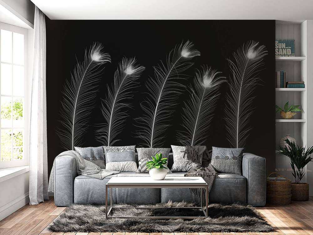 Plumes de paon blanches