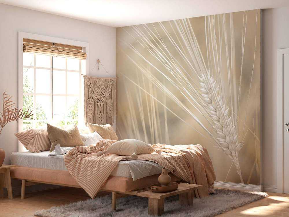 Gros plan sur le blé