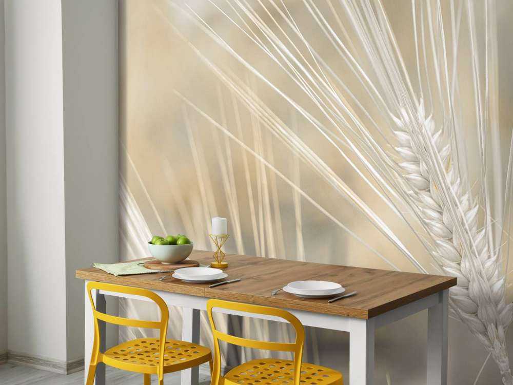 Gros plan sur le blé