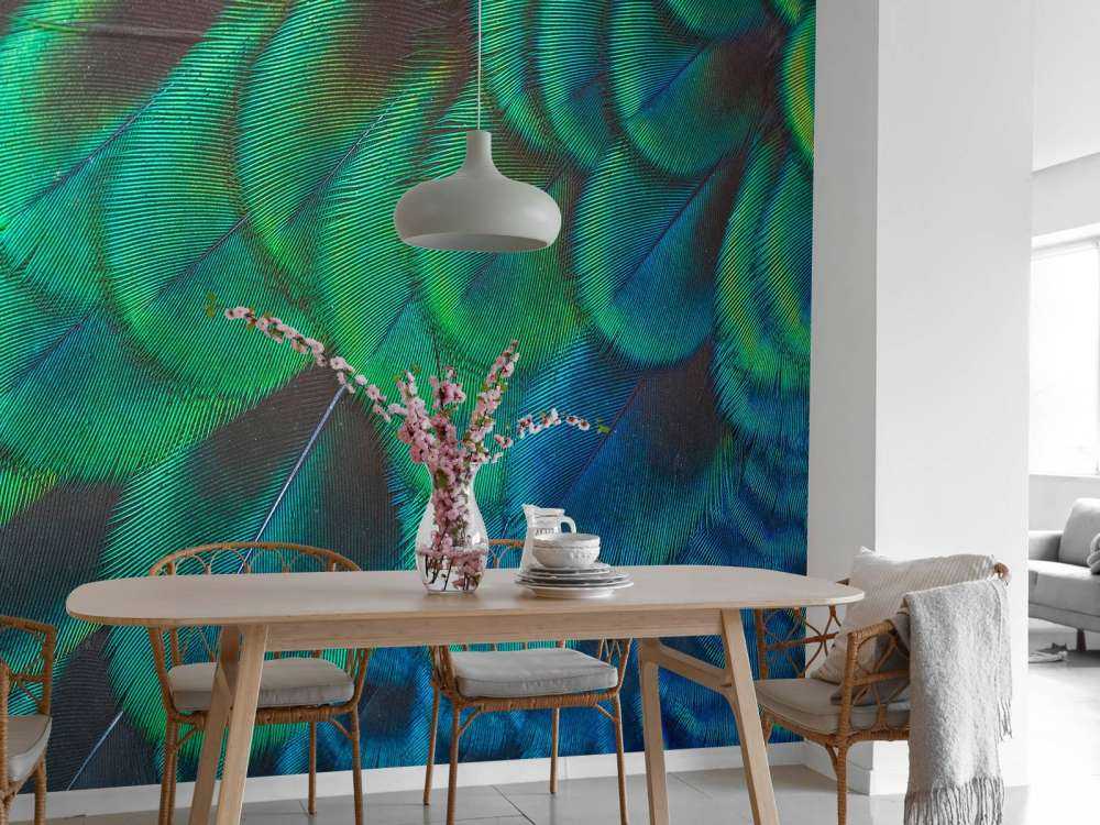 Gros plan sur des plumes de paon