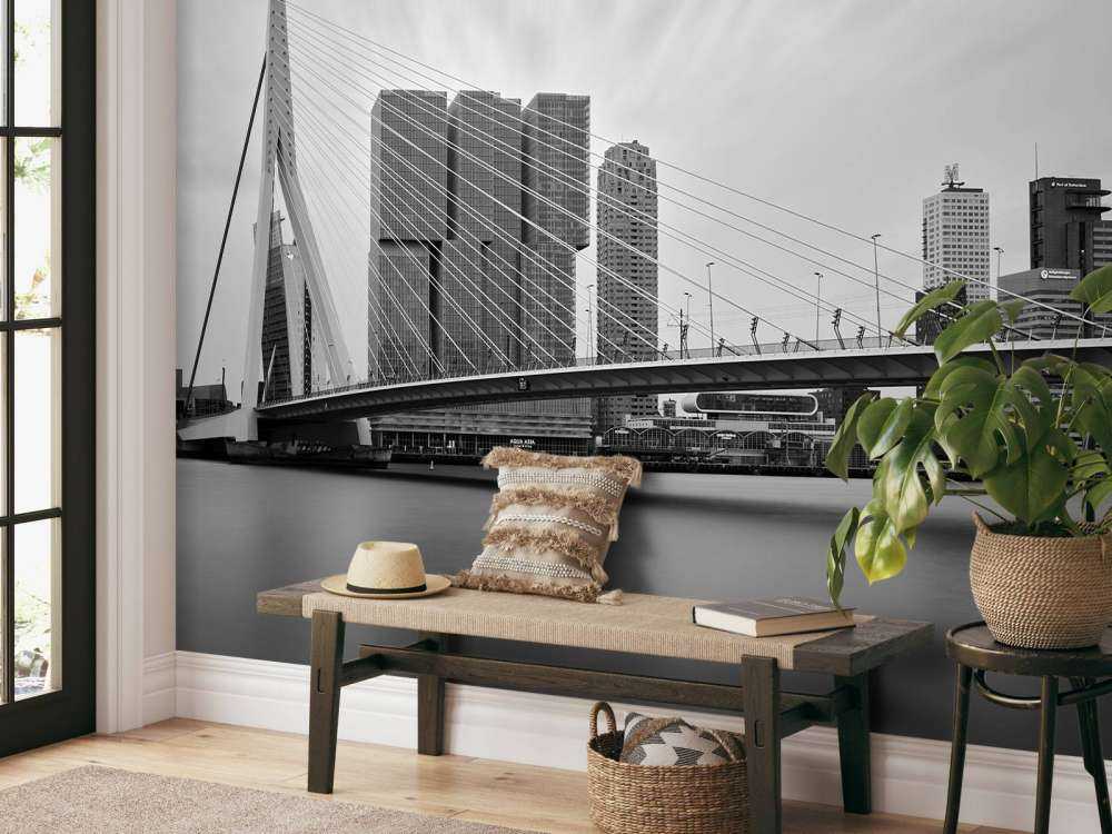 Pont Erasmus noir et blanc