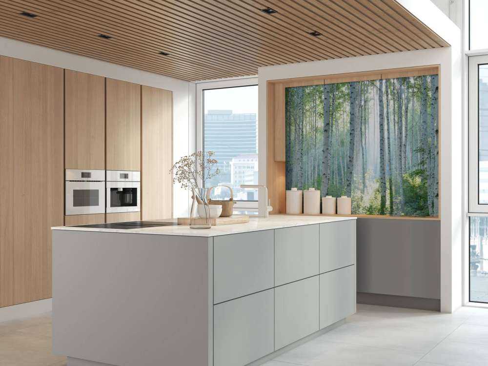 Berkenbos dans la lumière du matin