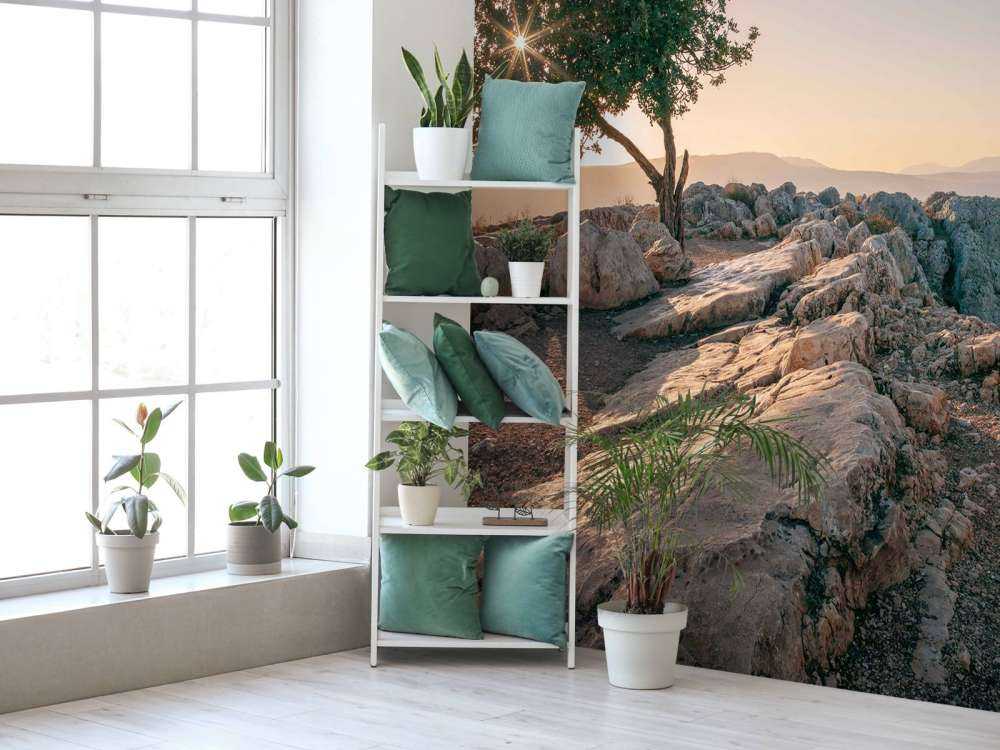Arbre solitaire sur un paysage rocheux