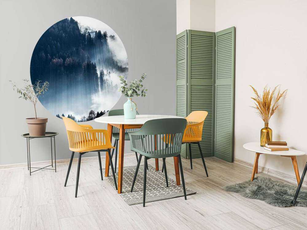 Lumière du matin dans la forêt brumeuse.