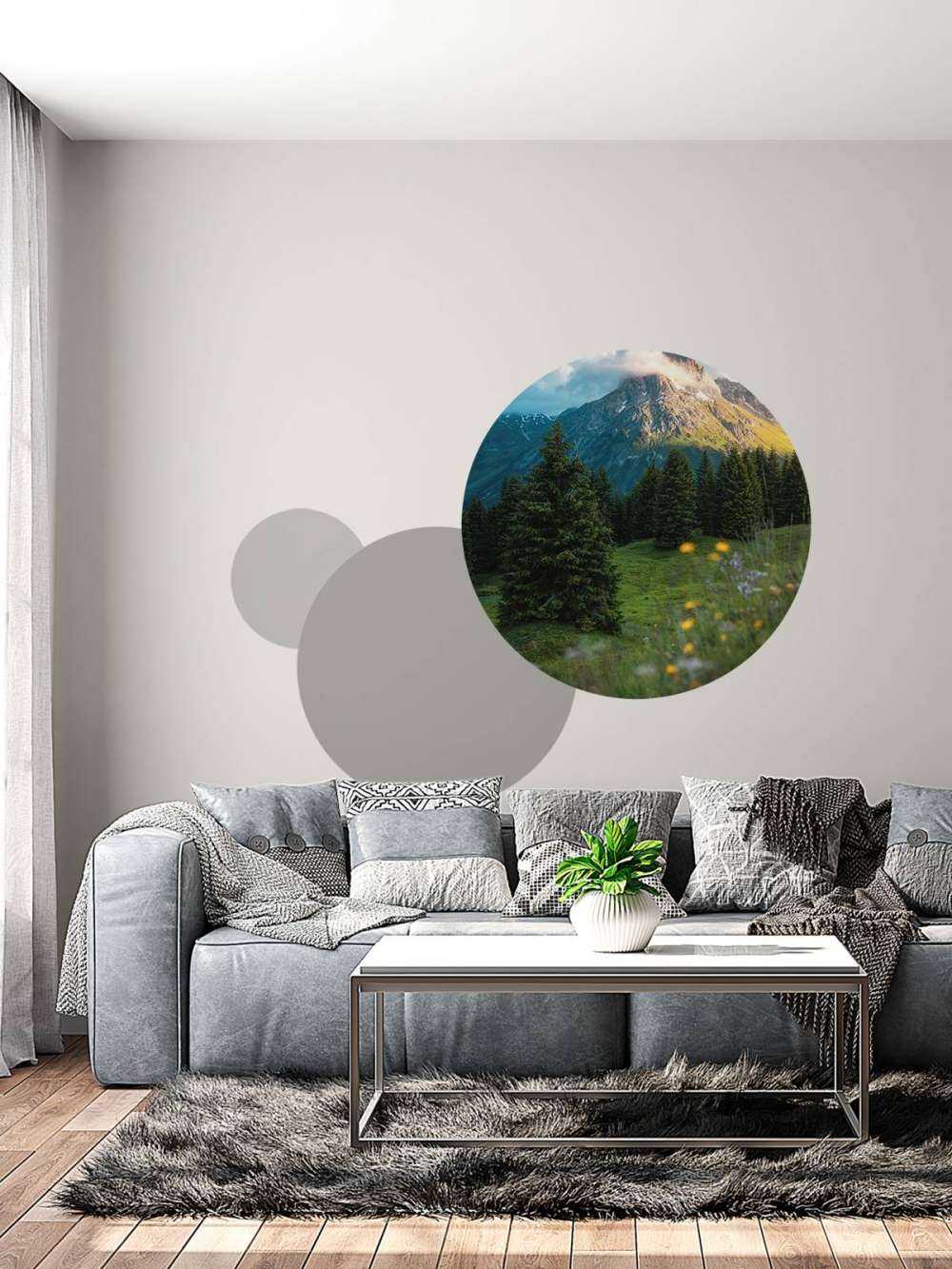 Prairie de montagne dans la brume du matin.