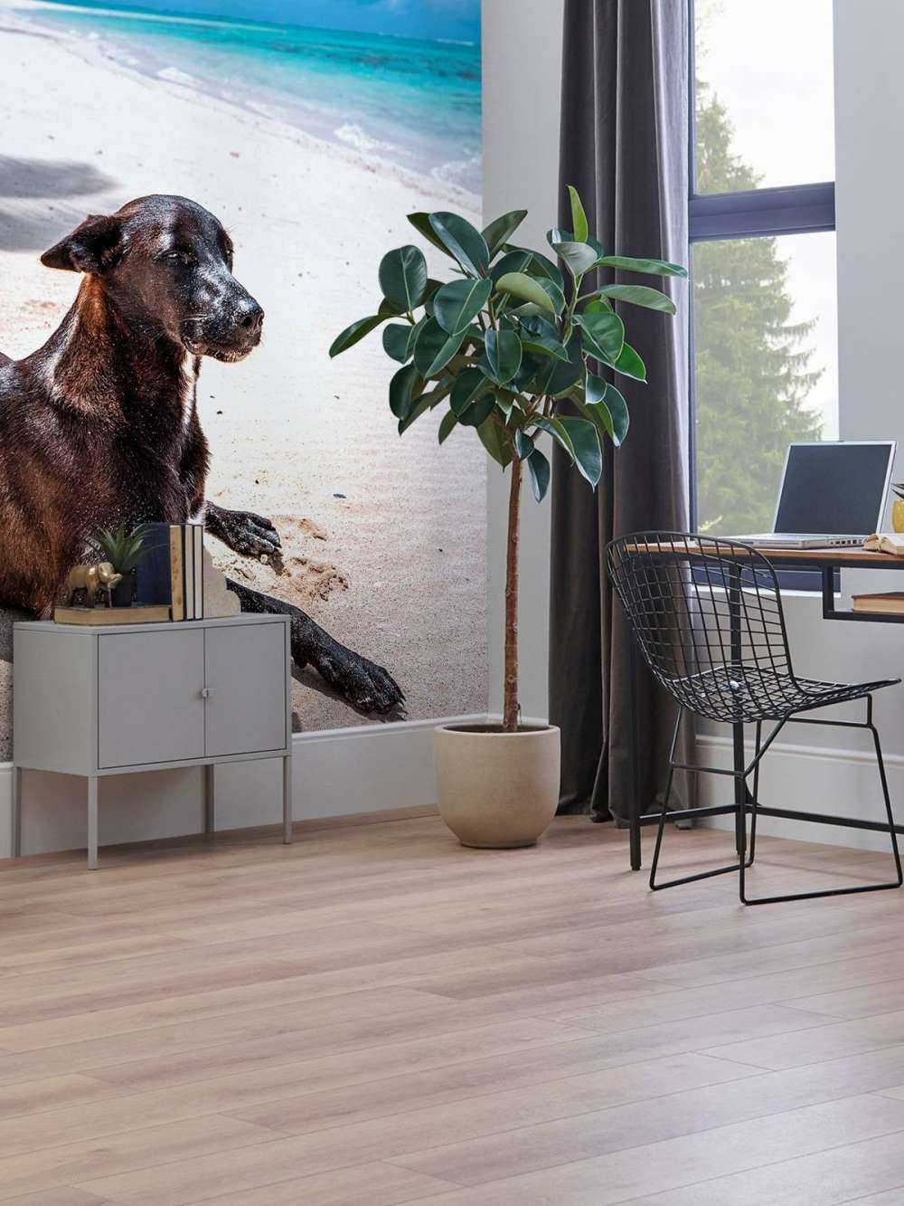 Chien noir sur une plage tropicale.