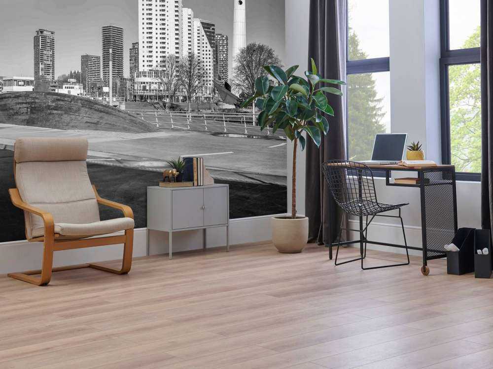 Skyline de Rotterdam sous le pont