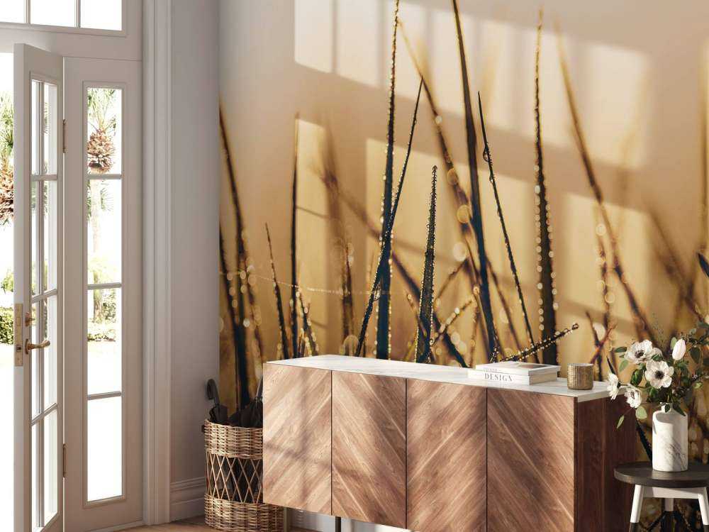 Herbe de rosée étincelante