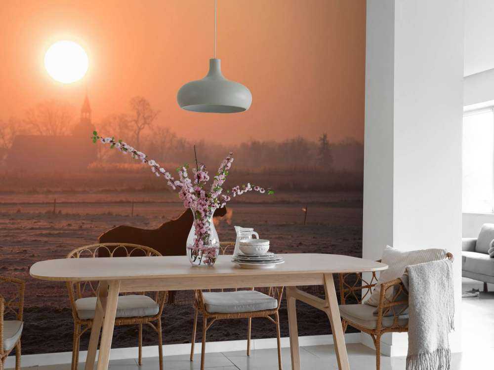 Cheval dans la lueur du matin