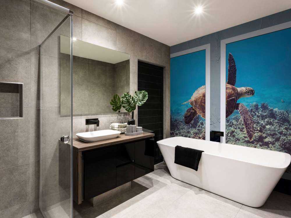 Tortue de mer au-dessus du récif corallien