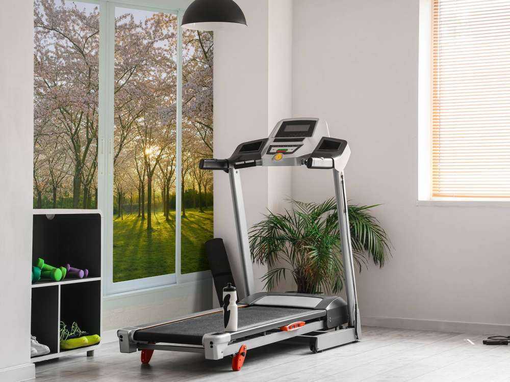 Bloesempark au soleil de printemps