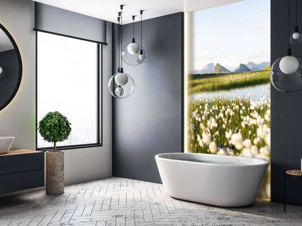 Lumière estivale sur un paysage tourbeux fleuri