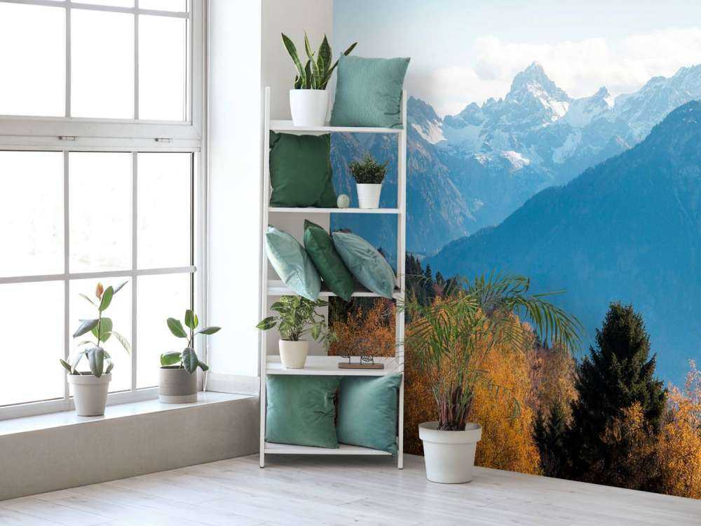 Couleurs d'automne pour les sommets enneigés.