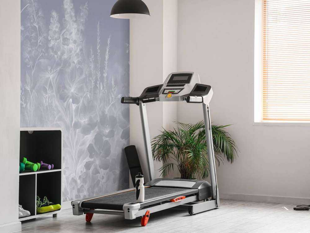 Jardin anglais tendre - violet