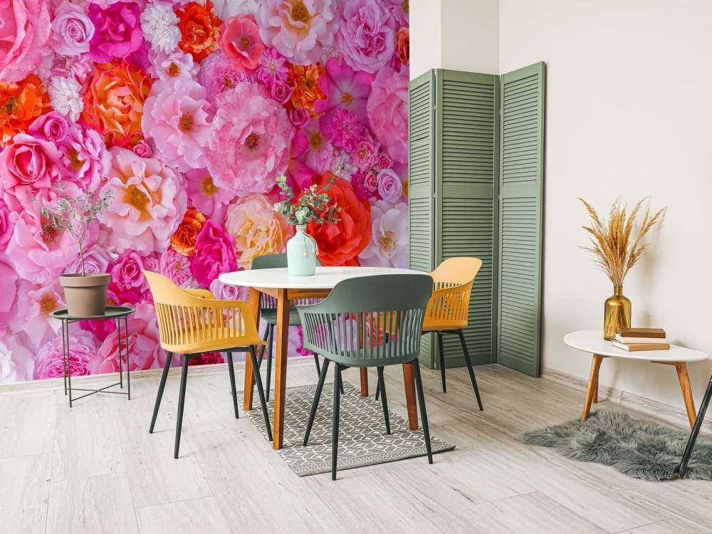 Plein cadre de variété de roses de jardin, fond de fleurs