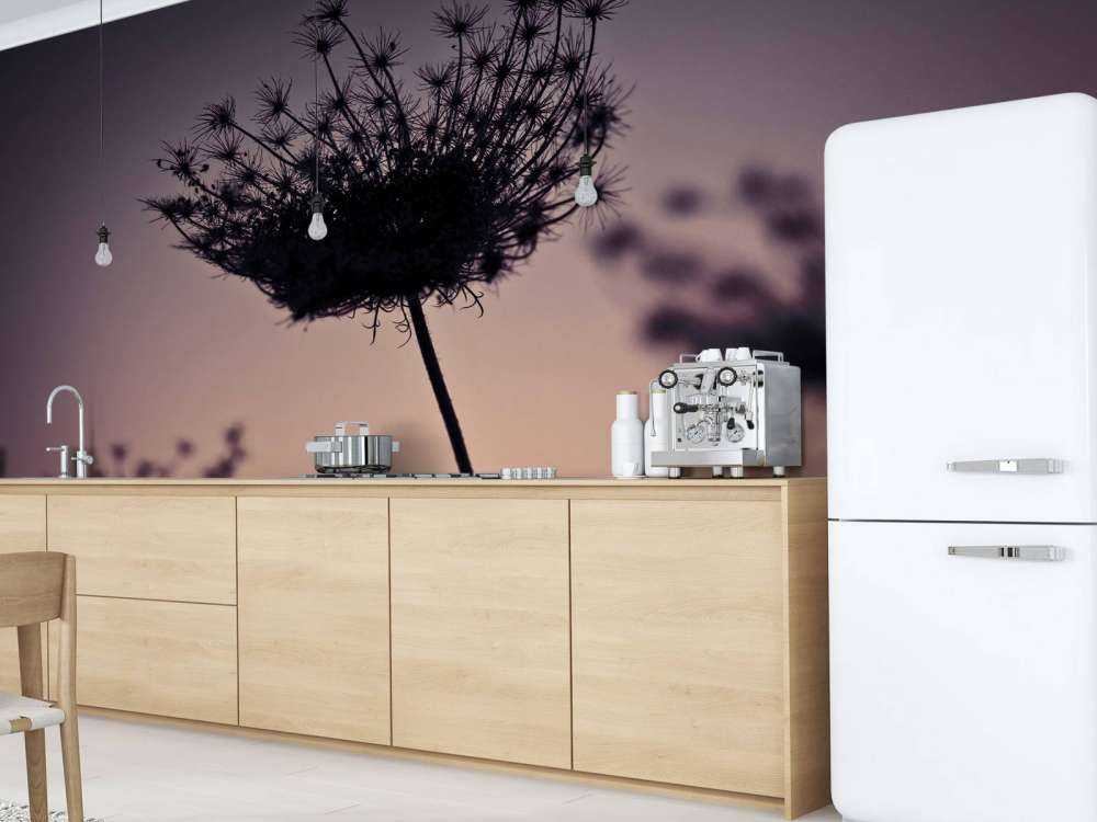 Silhouette de fleurs