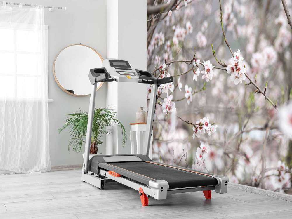 Fleurs roses et blanches