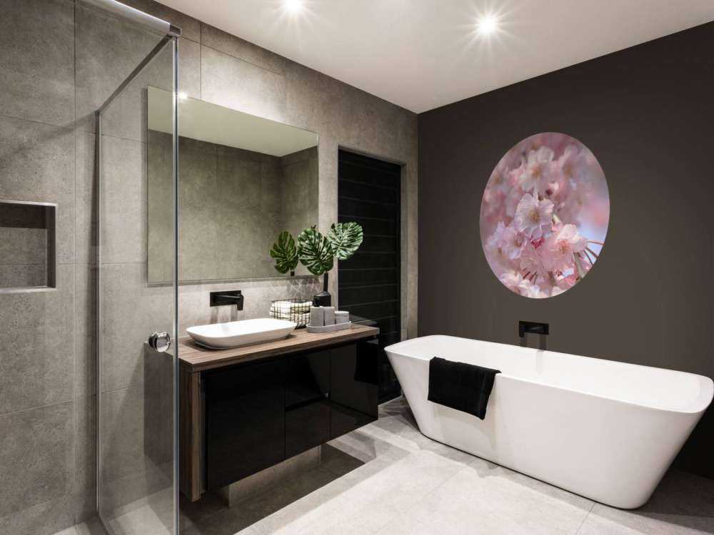 Gros plan sur des fleurs roses