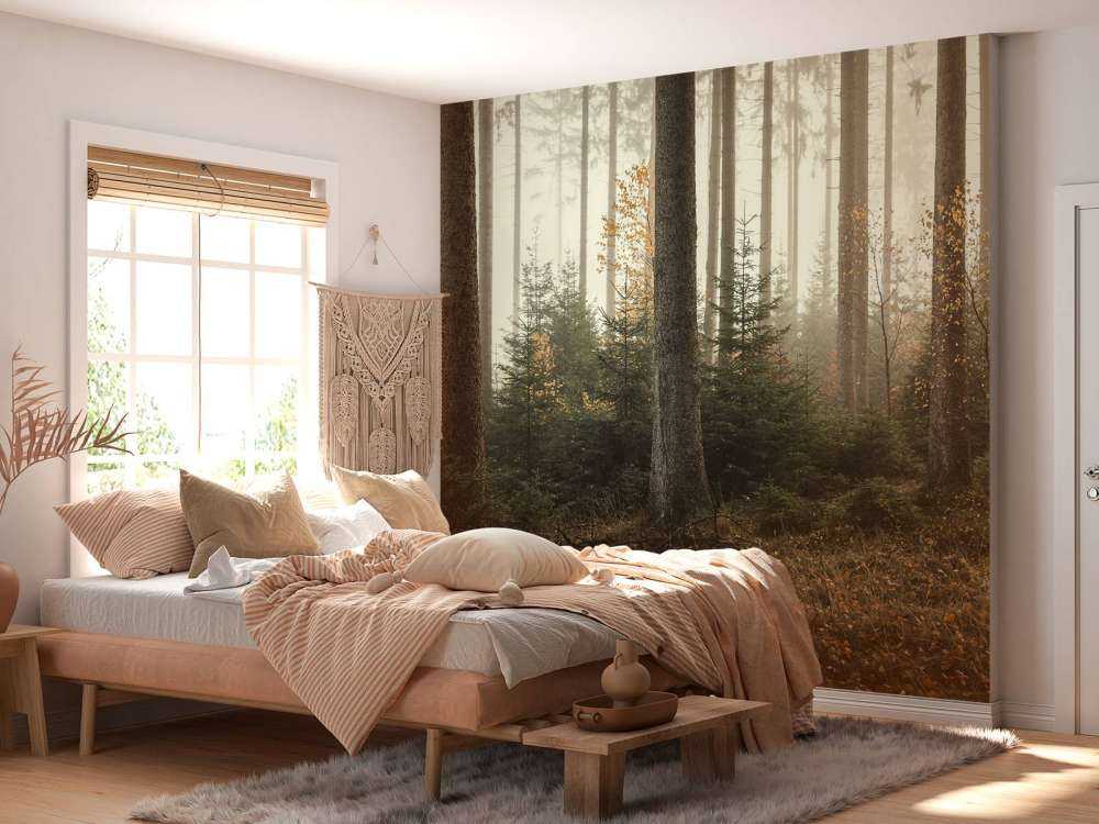 La forêt de Kaufunger