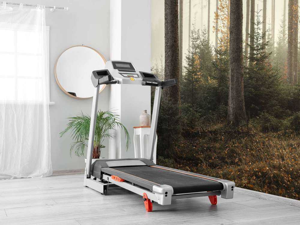 La forêt de Kaufunger