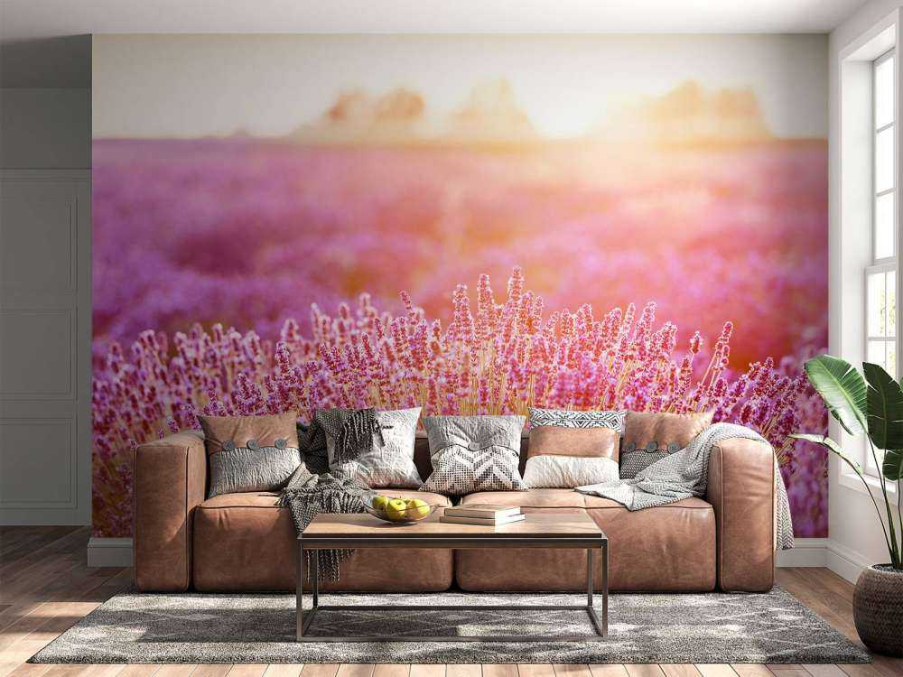 Gros plan sur des fleurs de lavande