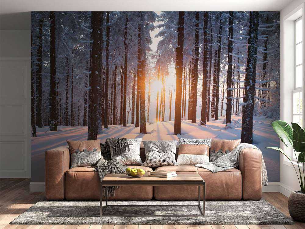 Coucher de soleil dans une forêt d'hiver