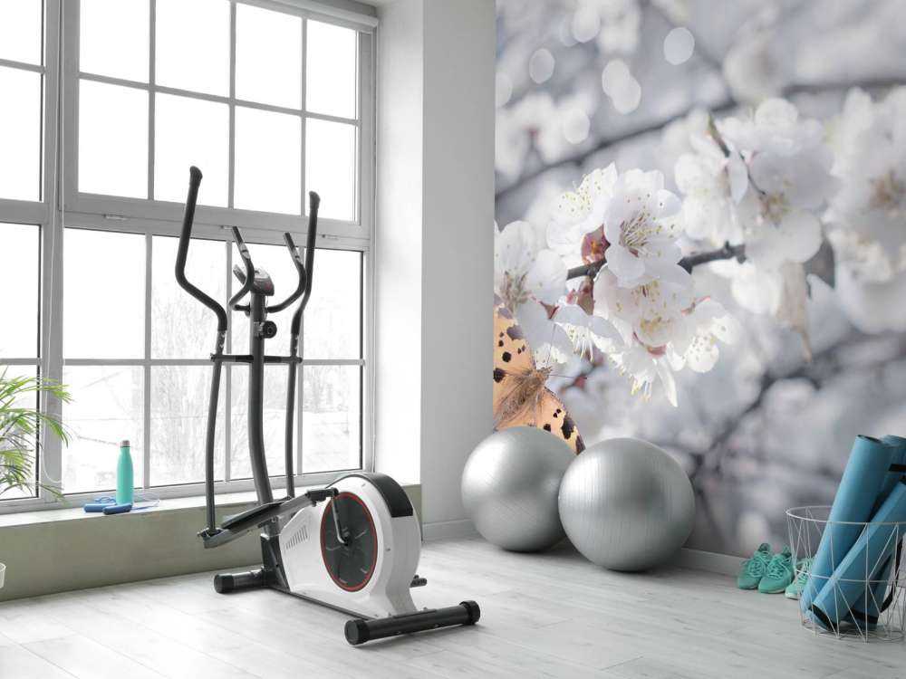 Papillon et fleurs blanches