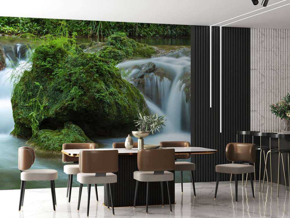 Chute d'eau dans la forêt