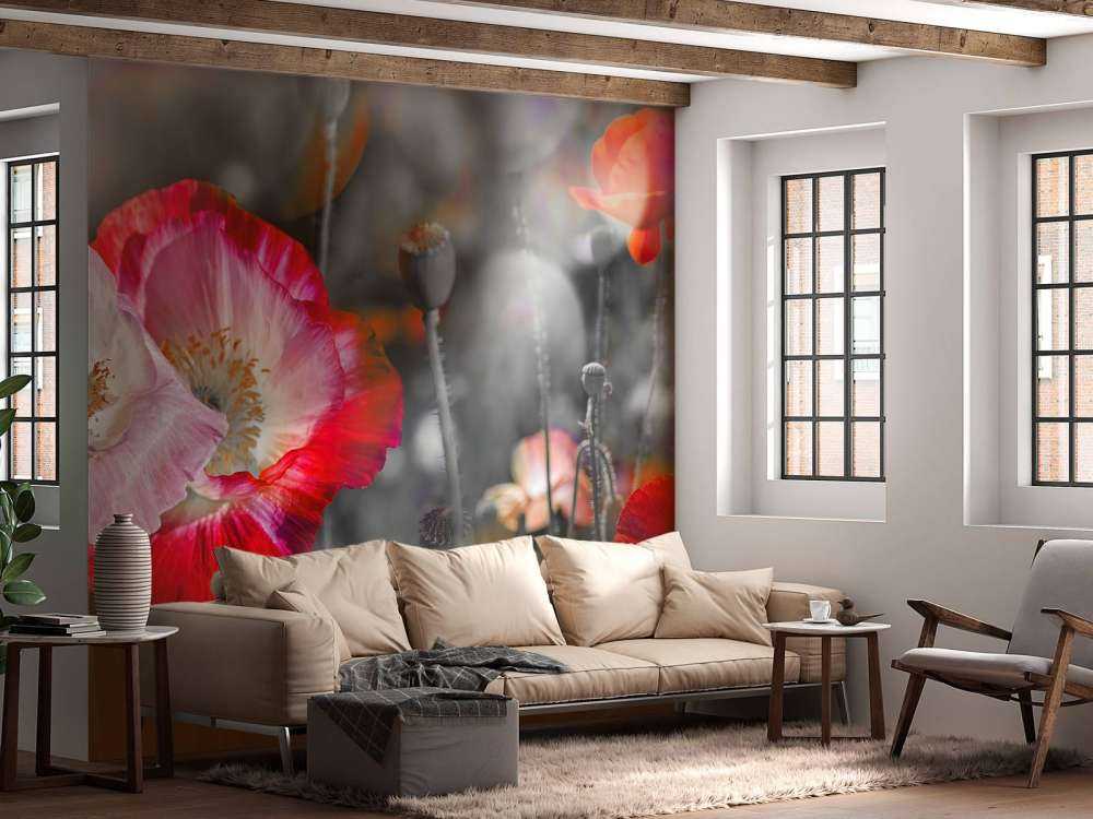 Coquelicots en noir, blanc, rouge