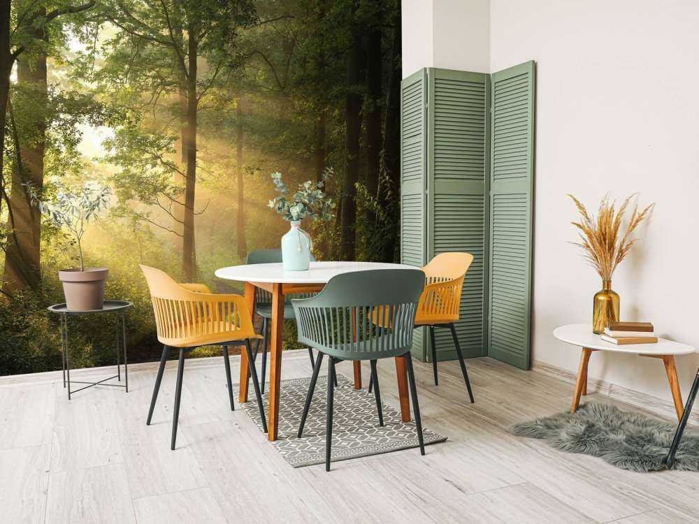 Matin brumeux de printemps